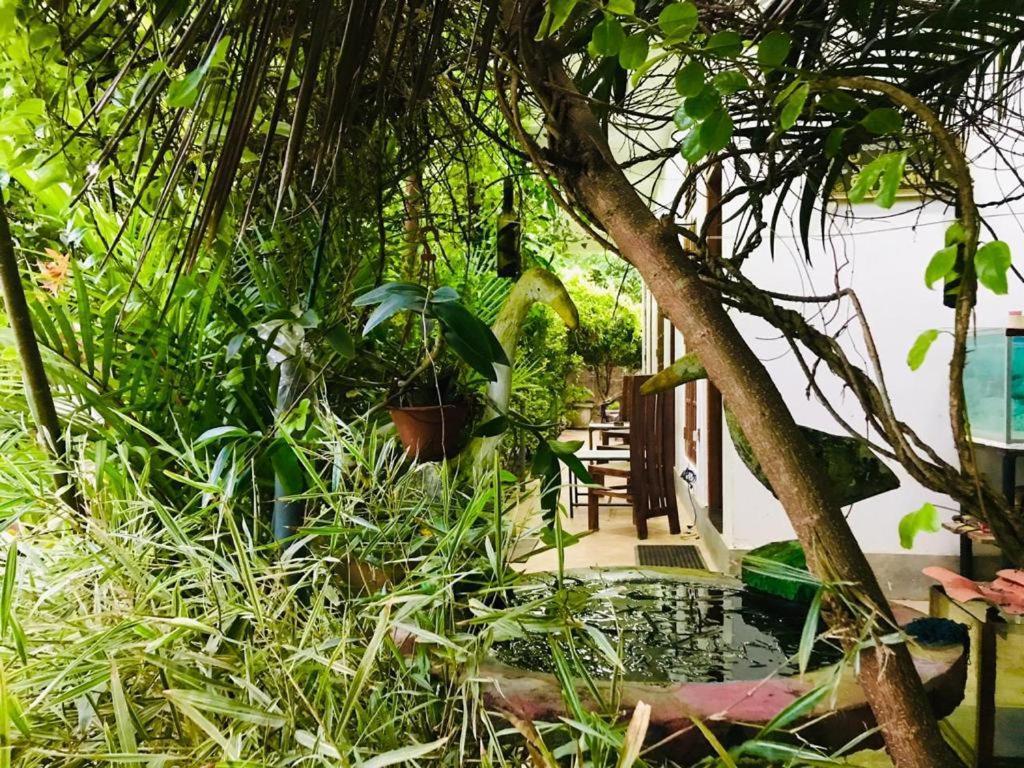 Green Jade Inn 미리사 외부 사진